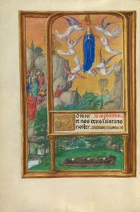La Asunción de la Virgen