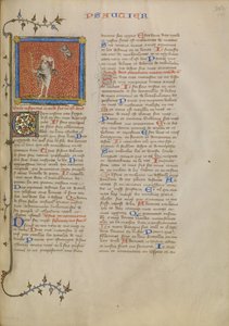 El necio y un demonio de Master of Jean de Mandeville