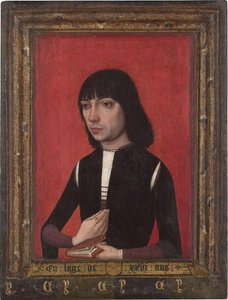 Neerlandés: Retrato de un joven de la familia Fonseca Retrato de un joven de la familia Fonseca de Master of Portraits of Princes