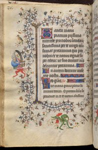 Horas de Carlos el Noble, rey de Navarra (1361-1425): fol. 43v, Texto de Master of the Brussels Initials and Associates