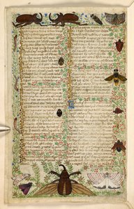 Agregar. 28841, f.4v: Polillas y escarabajos cornudos, de un Tratado sobre las virtudes y los vicios, y una historia en prosa anónima de Sicilia (fragmento), c.1330-40 (vitela) de Master of the Cocharelli Codex