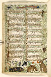 Agregar. 28841, f.6v: Conejos e insectos, incluida una oruga, una libélula y una polilla, de un Tratado sobre las virtudes y los vicios, y una historia en prosa anónima de Sicilia (fragmento), c.1330-40 (vitela) de Master of the Cocharelli Codex