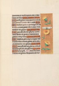 Horas de la Reina Isabel la Católica, Reina de España: Fol. 103r, c. 1500 de Master of the First Prayerbook of Maximillian