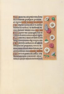 Horas de la Reina Isabel la Católica, Reina de España:  Fol. 104r de Master of the First Prayerbook of Maximillian