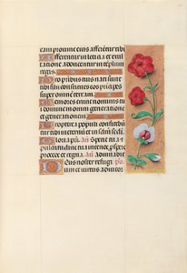 Horas de la Reina Isabel la Católica, Reina de España: Fol. 105r
