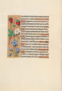 Horas de la Reina Isabel la Católica, Reina de España: Fol. 105v, c. 1500 de Master of the First Prayerbook of Maximillian