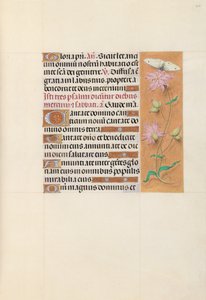 Horas de la Reina Isabel la Católica, Reina de España: Fol. 107r, c. 1500