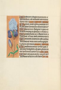 Horas de la Reina Isabel la Católica, Reina de España: Fol. 108v, c. 1500