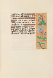 Horas de la Reina Isabel la Católica, Reina de España: Fol. 114r, c. 1500 de Master of the First Prayerbook of Maximillian