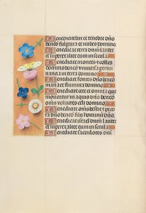 Horas de la Reina Isabel la Católica, Reina de España: Fol. 119v, c. 1500 de Master of the First Prayerbook of Maximillian