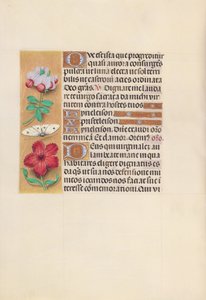 Horas de la Reina Isabel la Católica, Reina de España: Fol. 129v, c. 1500 de Master of the First Prayerbook of Maximillian