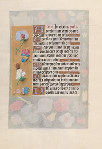 Horas de la Reina Isabel la Católica, Reina de España: Fol. 137v, c. 1500