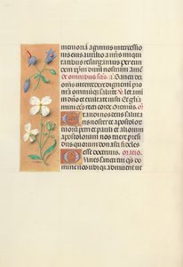 Horas de la Reina Isabel la Católica, Reina de España: Fol. 139v, c. 1500 de Master of the First Prayerbook of Maximillian
