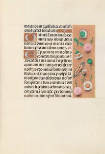 Horas de la Reina Isabel la Católica, Reina de España: Fol. 145r, c. 1500 de Master of the First Prayerbook of Maximillian
