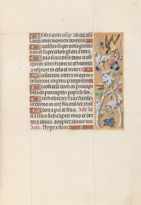 Horas de la Reina Isabel la Católica, Reina de España: Fol. 148r de Master of the First Prayerbook of Maximillian