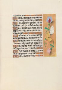 Horas de la Reina Isabel la Católica, Reina de España: Fol. 156r, c. 1500 de Master of the First Prayerbook of Maximillian