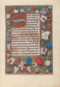 Horas de la Reina Isabel la Católica, Reina de España: Fol. 15r, c. 1500 de Master of the First Prayerbook of Maximillian