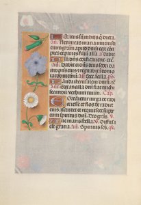 Horas de la Reina Isabel la Católica, Reina de España: Fol. 160v, c. 1500 de Master of the First Prayerbook of Maximillian