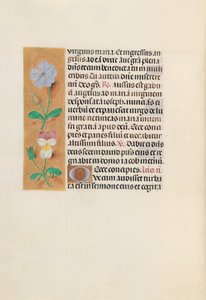 Horas de la Reina Isabel la Católica, Reina de España: Fol. 162v, c. 1500 de Master of the First Prayerbook of Maximillian
