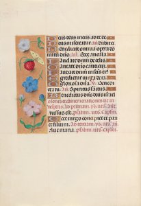 Horas de la Reina Isabel la Católica, Reina de España: Fol. 164v, c. 1500 de Master of the First Prayerbook of Maximillian