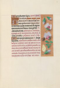 Horas de la Reina Isabel la Católica, Reina de España: Fol. 165r, c. 1500 de Master of the First Prayerbook of Maximillian