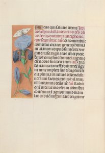 Horas de la Reina Isabel la Católica, Reina de España: Fol. 165v, c. 1500