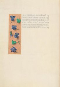 Horas de la Reina Isabel la Católica, Reina de España: Fol. 16v, Borde Corto, c. 1500 de Master of the First Prayerbook of Maximillian