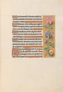 Horas de la Reina Isabel la Católica, Reina de España: Fol. 201r, c. 1500 de Master of the First Prayerbook of Maximillian
