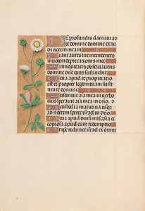 Horas de la Reina Isabel la Católica, Reina de España: Fol. 208v, c. 1500 de Master of the First Prayerbook of Maximillian