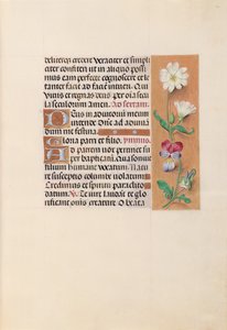 Horas de la Reina Isabel la Católica, Reina de España: Fol. 20r, c. 1500 de Master of the First Prayerbook of Maximillian