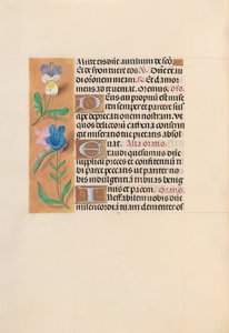 Horas de la reina Isabel la Católica, reina de España: Fol. 216v, c. 1500 de Master of the First Prayerbook of Maximillian