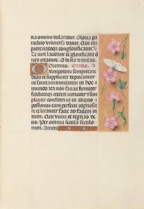Horas de la Reina Isabel la Católica, Reina de España: Fol. 21r, c. 1500