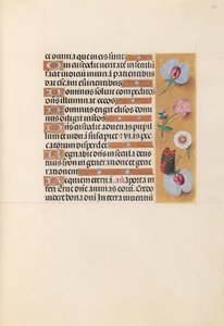 Horas de la Reina Isabel la Católica, Reina de España: Fol. 225r