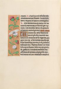 Horas de la Reina Isabel la Católica, Reina de España: Fol. 232v