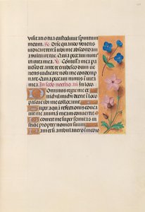 Horas de la Reina Isabel la Católica, Reina de España:  Fol. 233r de Master of the First Prayerbook of Maximillian