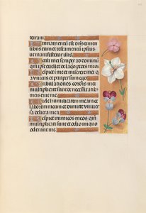 Horas de la Reina Isabel la Católica, Reina de España: Fol. 235r, c. 1500 de Master of the First Prayerbook of Maximillian