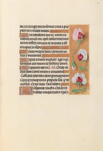 Horas de la Reina Isabel la Católica, Reina de España: Fol. 237r de Master of the First Prayerbook of Maximillian