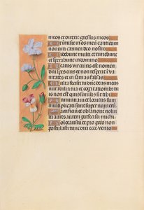 Horas de la Reina Isabel la Católica, Reina de España: Fol. 239v