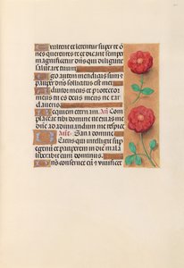 Horas de la Reina Isabel la Católica, Reina de España: Fol. 241r de Master of the First Prayerbook of Maximillian