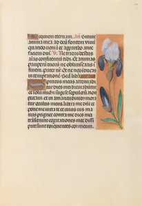 Horas de la Reina Isabel la Católica, Reina de España: Fol. 244r, c. 1500
