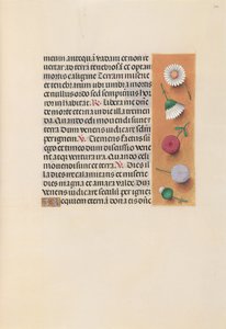 Horas de la Reina Isabel la Católica, Reina de España: Fol. 245r, c. 1500 de Master of the First Prayerbook of Maximillian