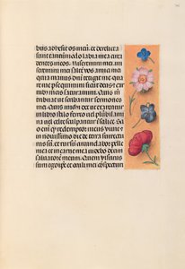 Horas de la Reina Isabel la Católica, Reina de España: Fol. 245r, c. 1500 de Master of the First Prayerbook of Maximillian