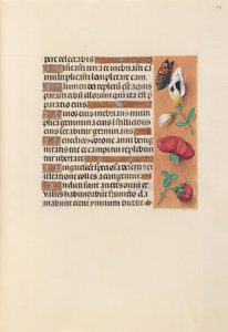 Horas de la Reina Isabel la Católica, Reina de España:  Fol. 249r