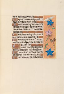 Horas de la Reina Isabel la Católica, Reina de España: Fol. 253r, c. 1500 de Master of the First Prayerbook of Maximillian