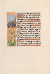 Horas de la Reina Isabel la Católica, Reina de España: Fol. 254v, c. 1500 de Master of the First Prayerbook of Maximillian