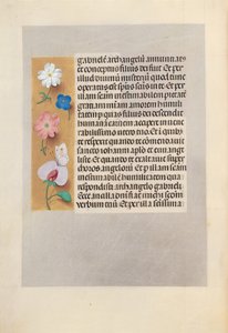 Horas de la Reina Isabel la Católica, Reina de España: Fol. 258v, c. 1500 de Master of the First Prayerbook of Maximillian