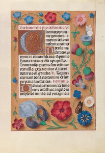 Horas de la Reina Isabel la Católica, Reina de España: Fol. 25r