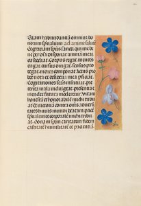 Horas de la Reina Isabel la Católica, Reina de España: Fol. 260r, c. 1500