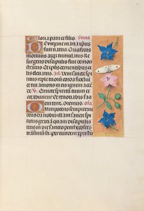 Horas de la Reina Isabel la Católica, Reina de España: Fol. 33r, c. 1500