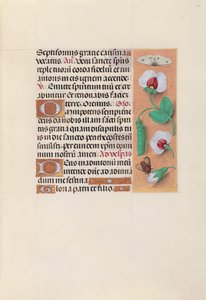 Horas de la Reina Isabel la Católica, Reina de España: Fol. 35r, c. 1500 de Master of the First Prayerbook of Maximillian
